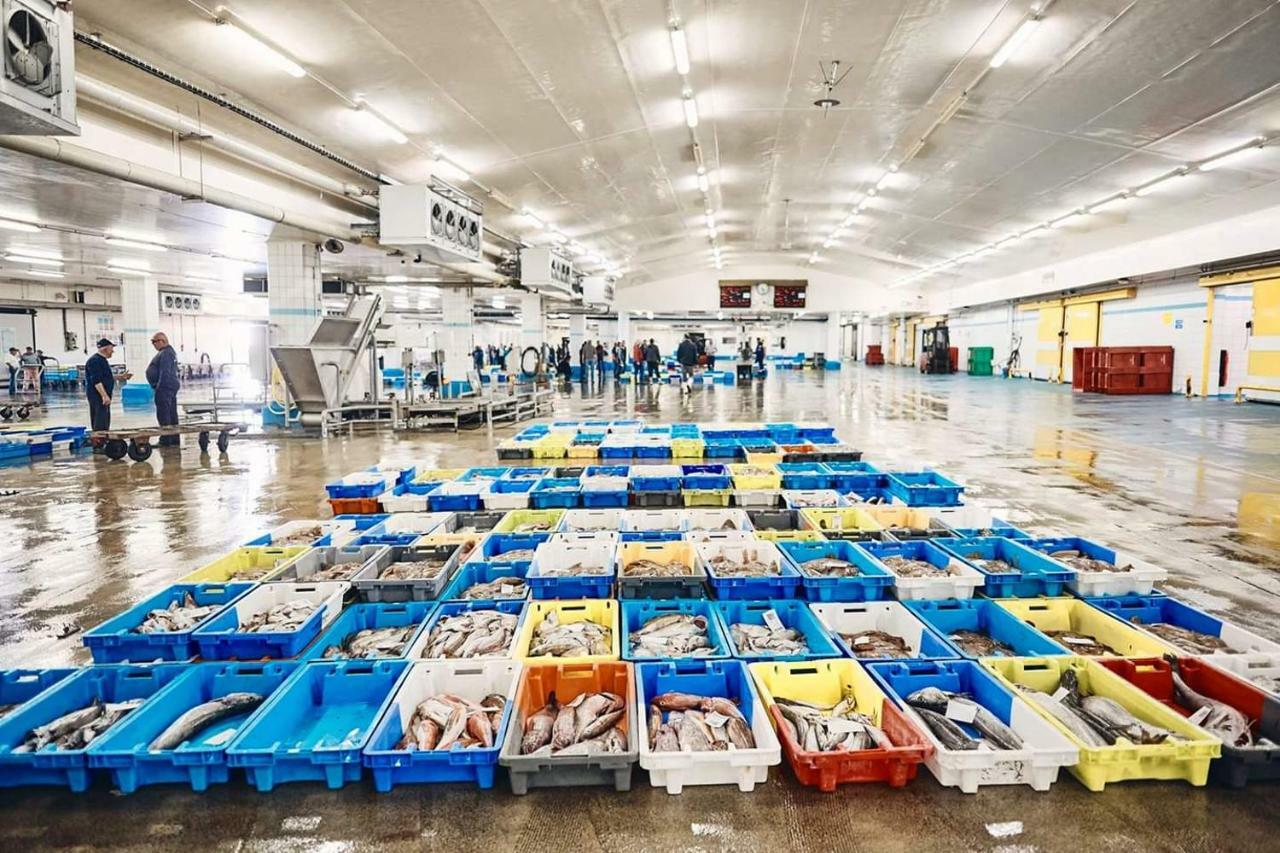 Au Bout Du Port Lägenhet Guilvinec Exteriör bild